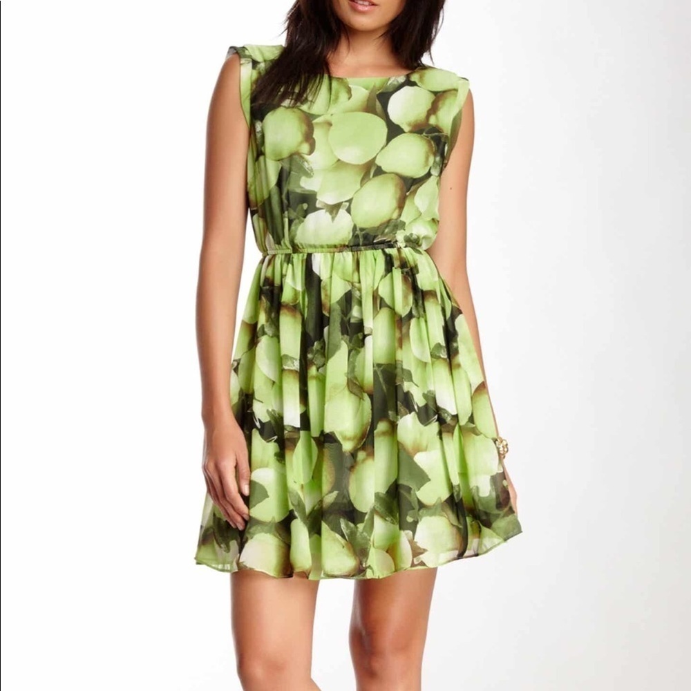 NWT XL PAPILLION DRESS